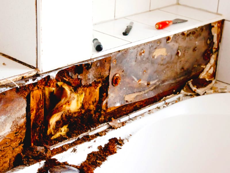 Professional Restoration Denver Water Damage Restoration