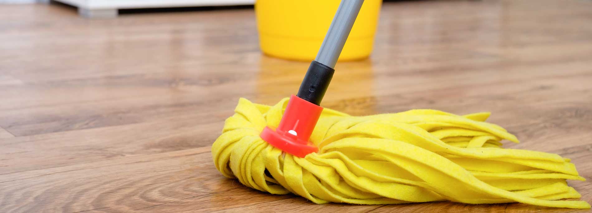 Mop On A Hardwood Floor