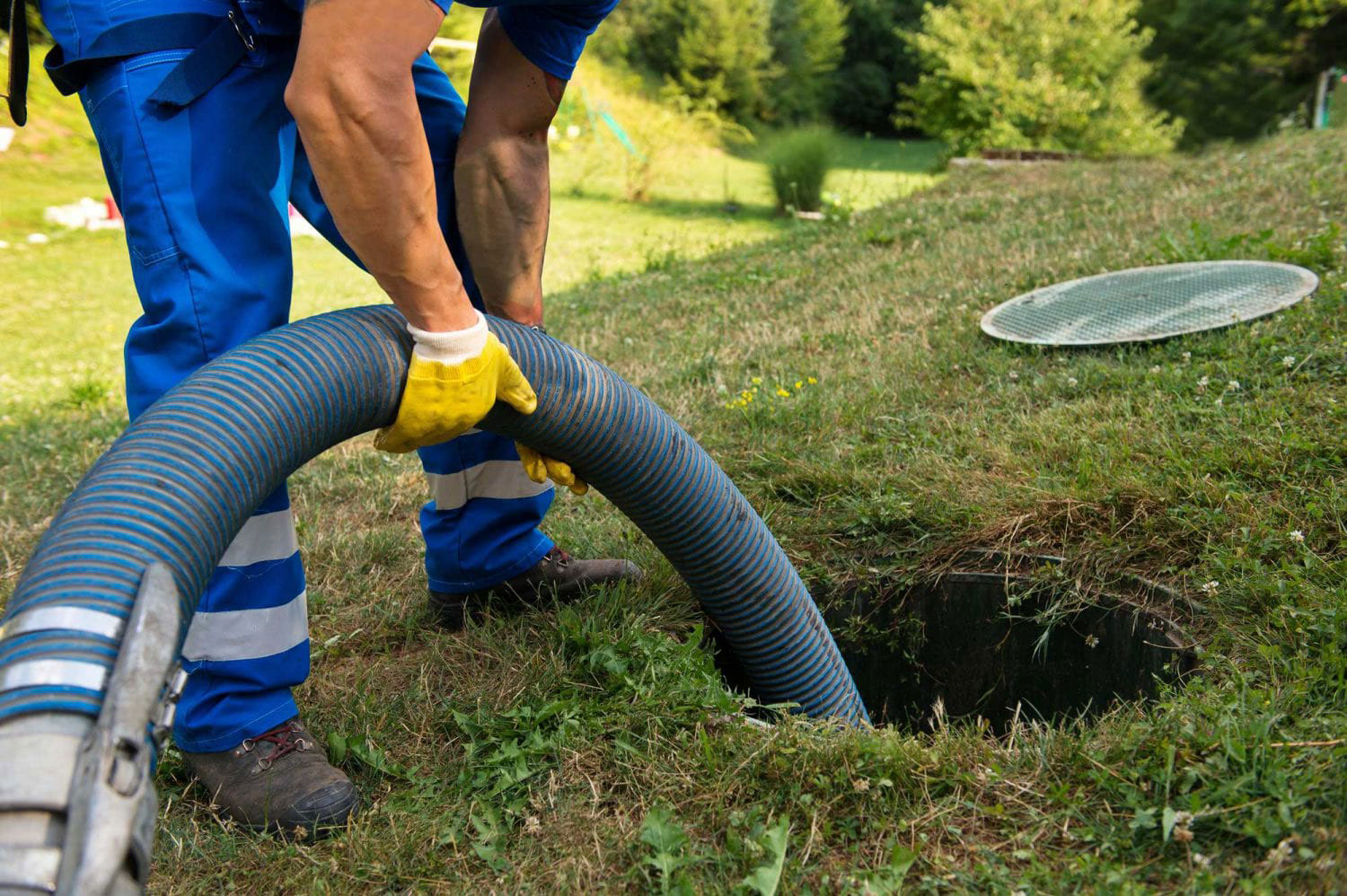 Sewage Cleanup