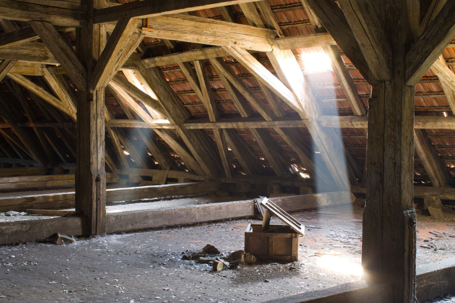 Crawl Space Repair & Restoration